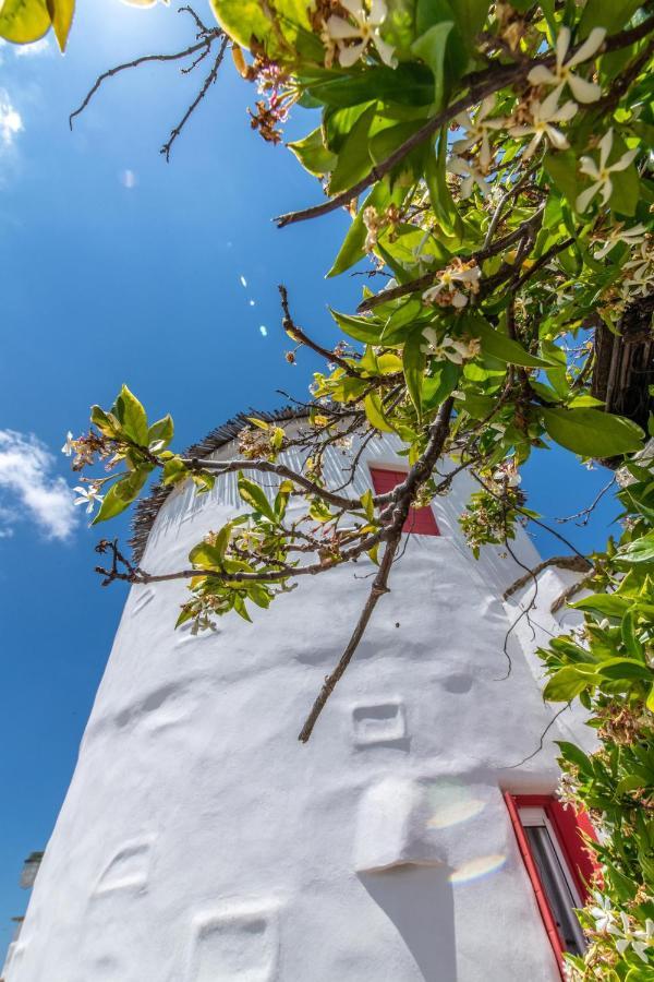 Дом отдыха Old Windmill In Village